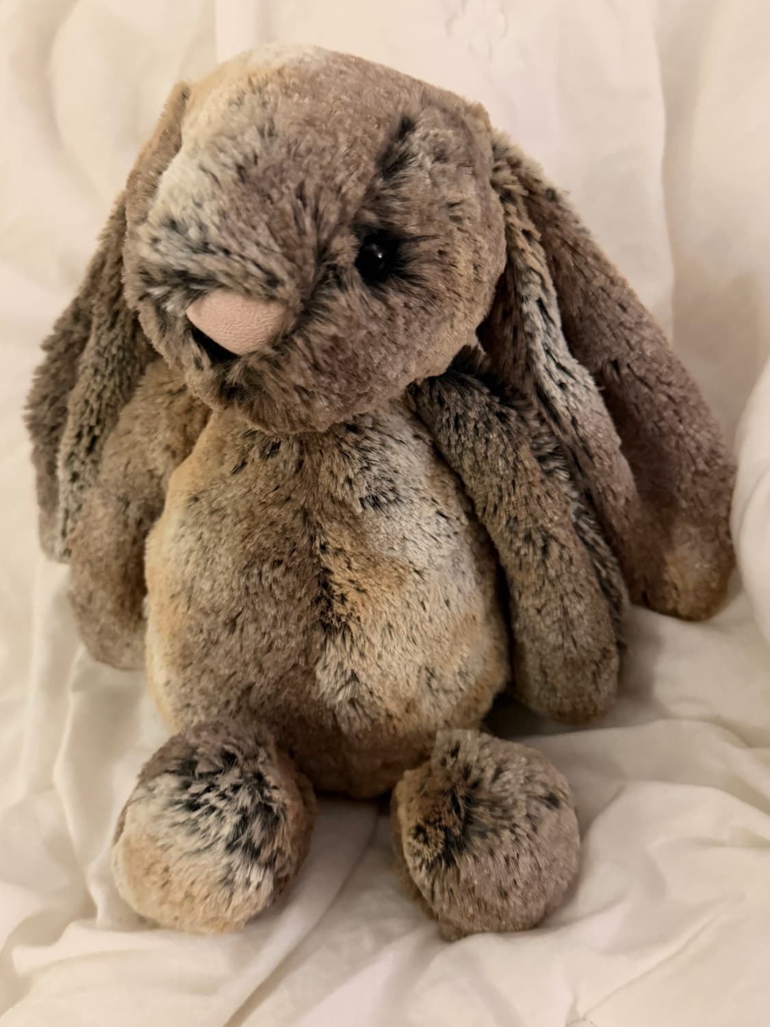 젤리캣 바쉬풀 우드랜드 버니 M 애착인형 한정판 상품이미지1