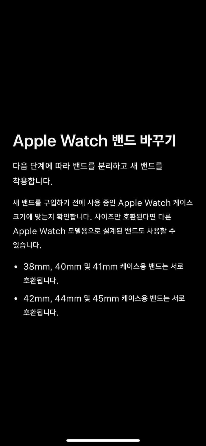 니시드 애플워치스트랩 실버925 상품이미지3