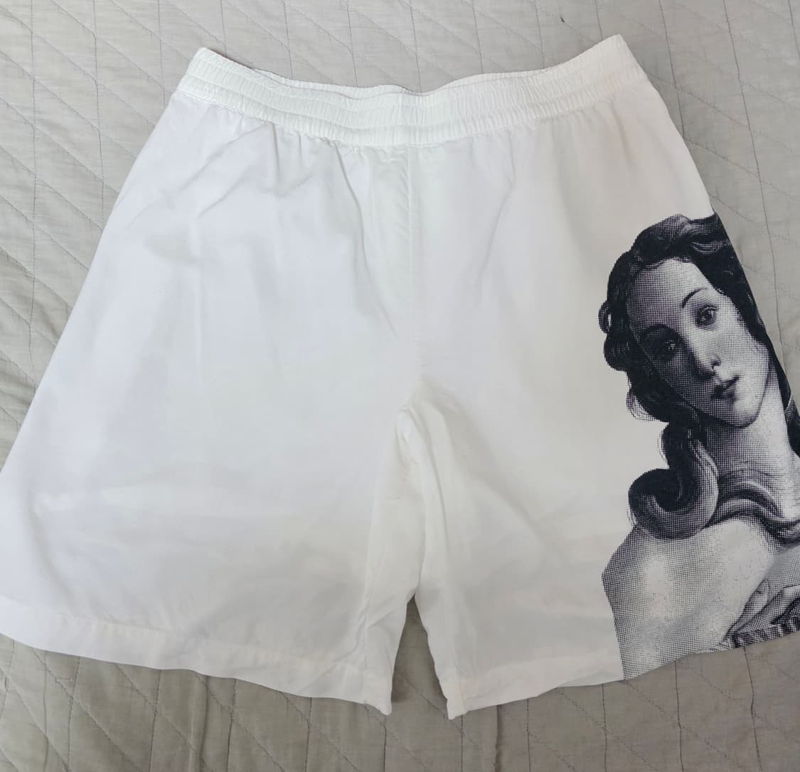 [L] 스투시 비너스 하프팬츠 / 쇼츠 상품이미지1