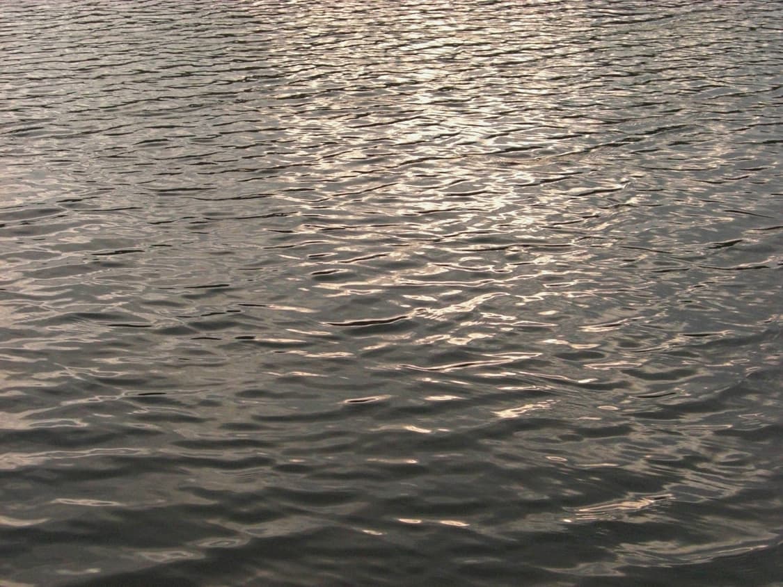 작례O) 카시오 엑슬림 z1080 빈티지 디카 Casio 상품이미지7