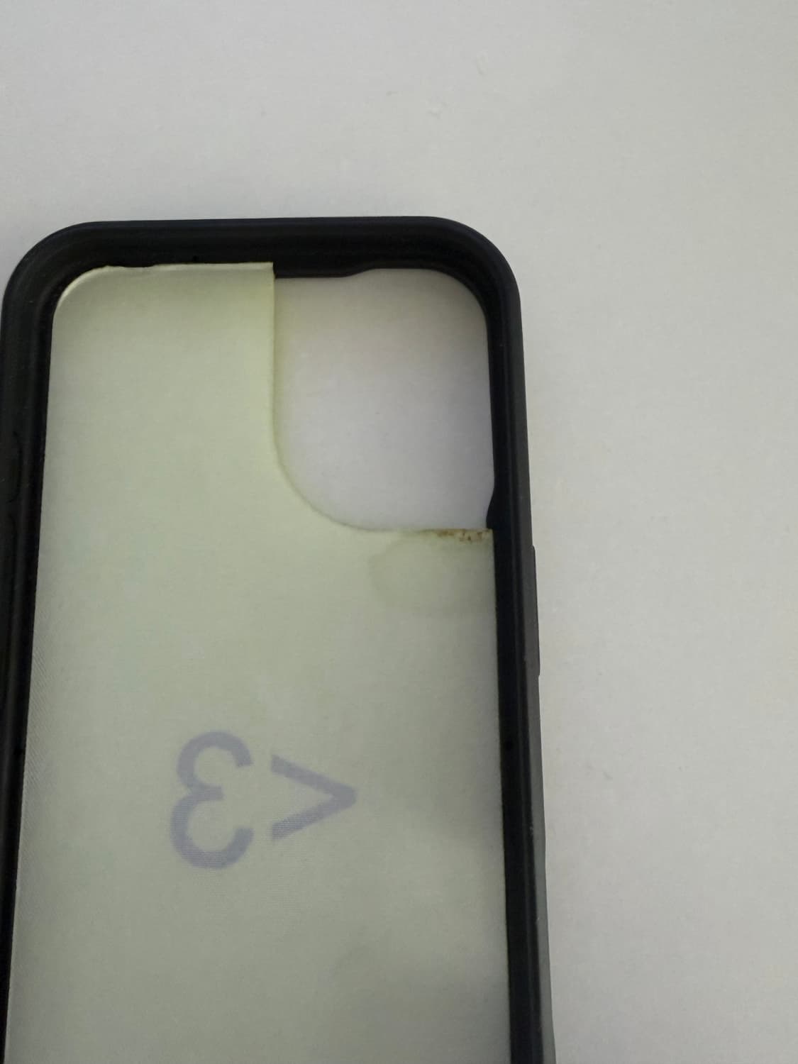 와일드플라워 아이폰 16 케이스 brat 상품이미지3