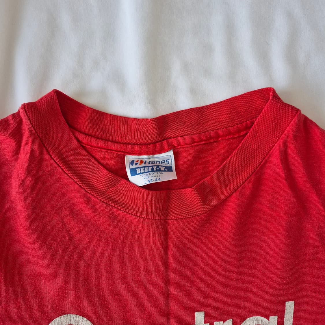 Hanes, 1980s 상품이미지3