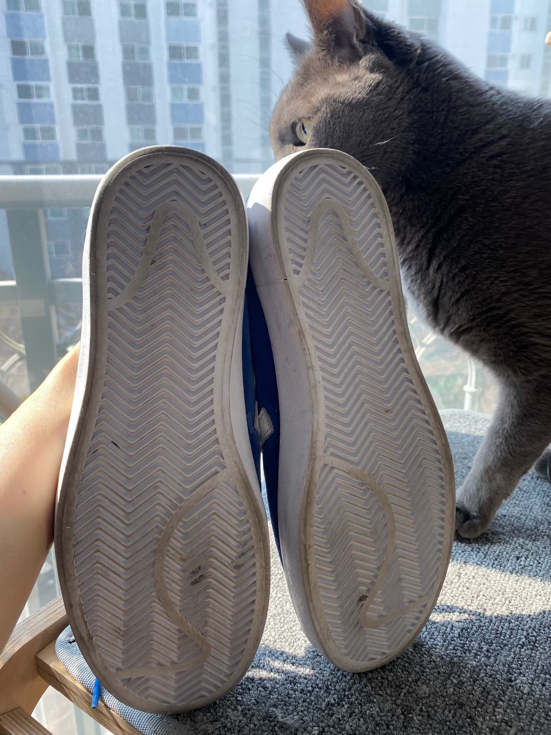 뉴발란스 CT302 블루 스니커즈 260 상품이미지7