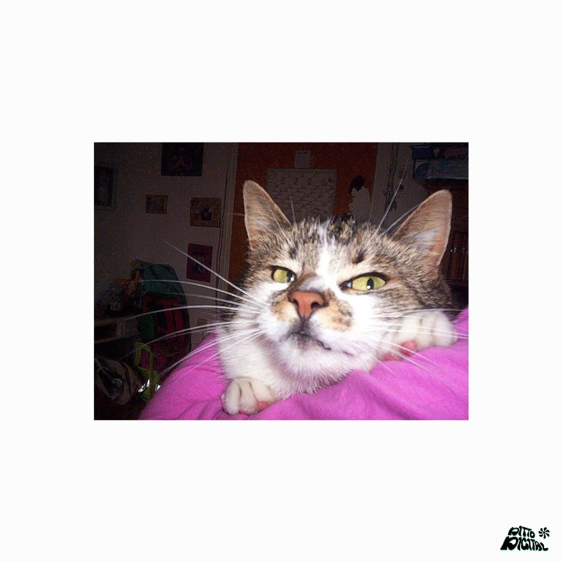 Kodak Easyshare C300디카 상품이미지8