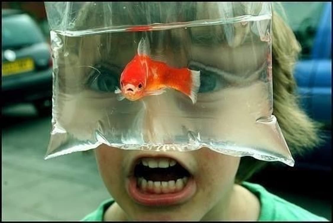 Fujifilm FinePix A500 ㅣ 후지필름 파인픽스 빈티지 디카 상품이미지10