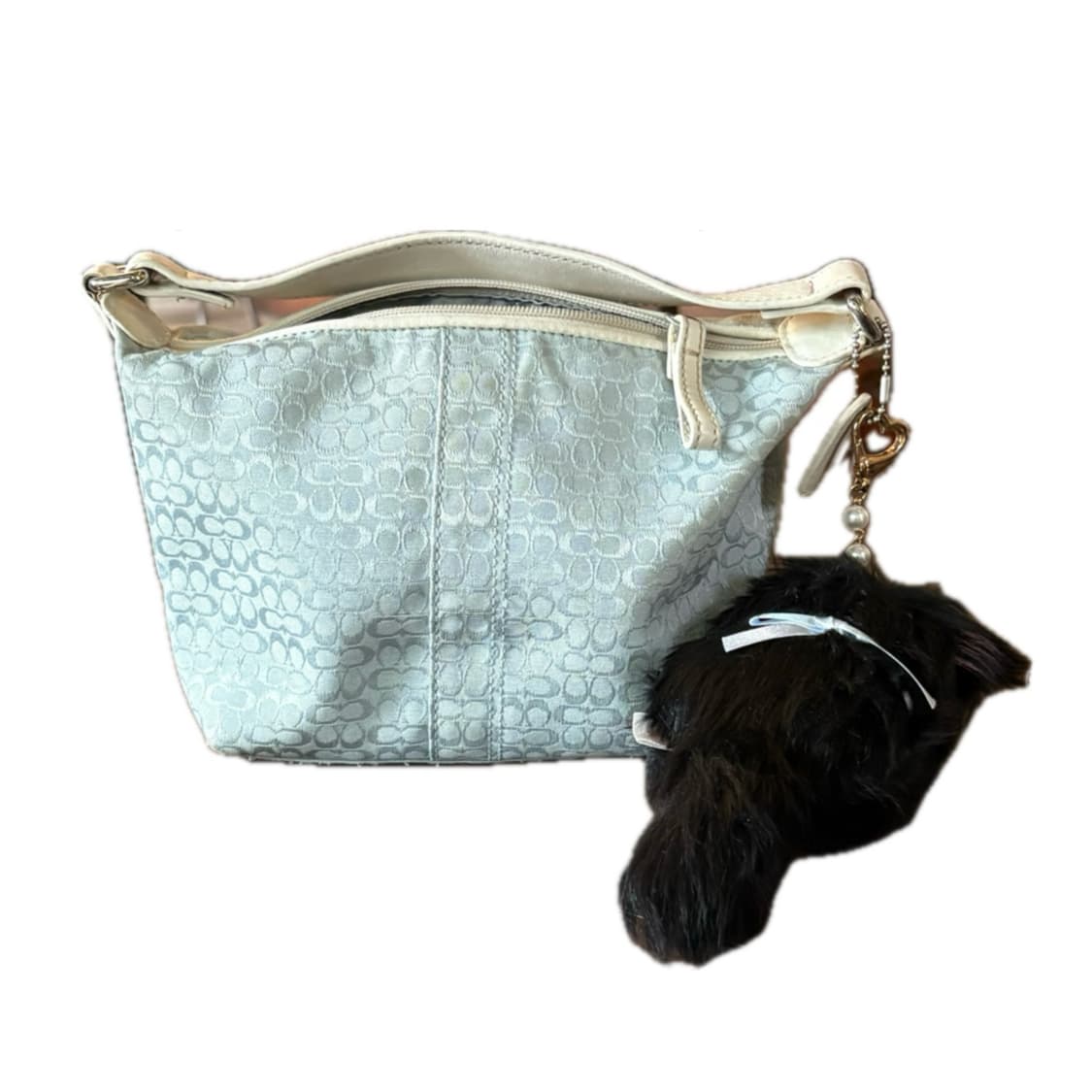coach bag 상품이미지1