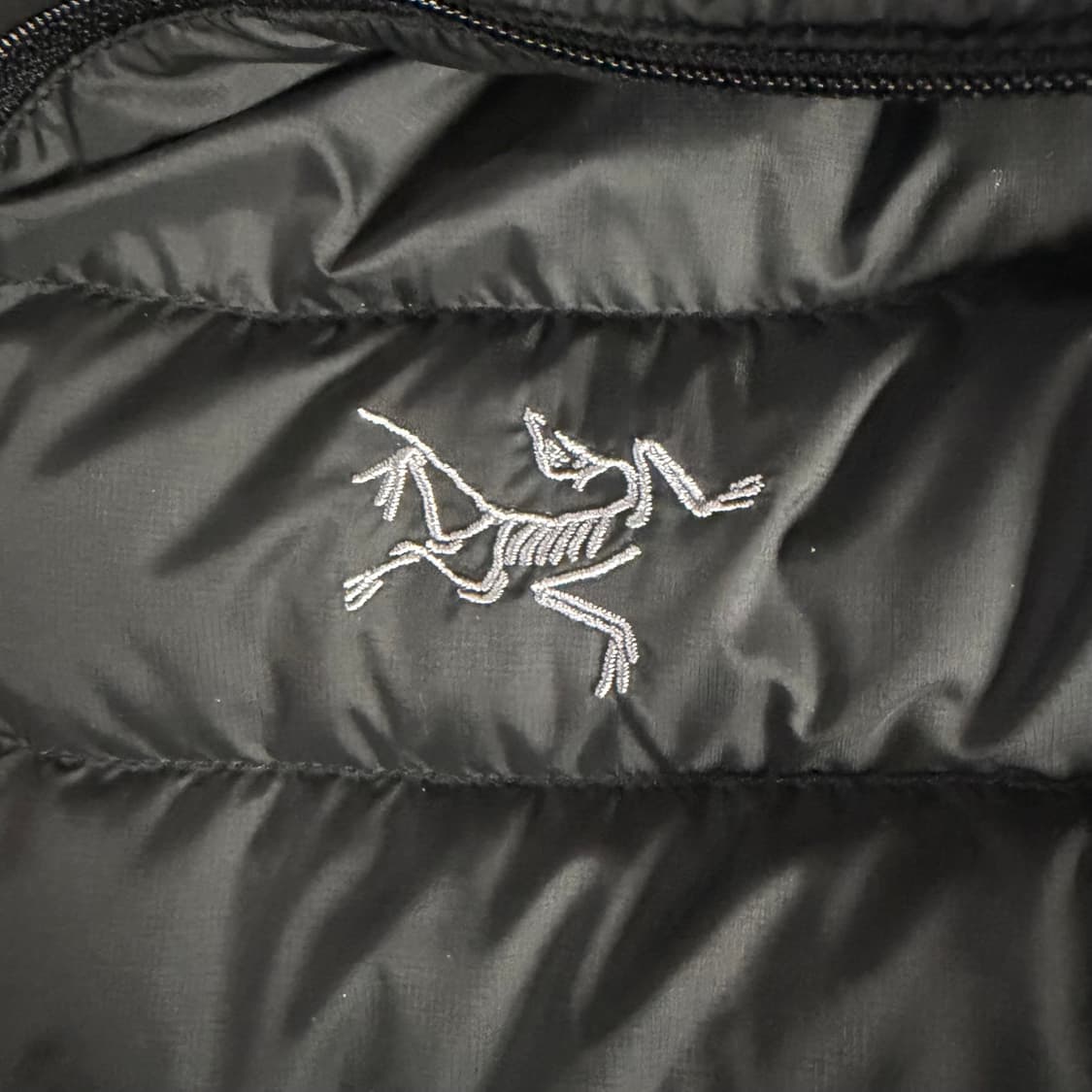 [L] 아크테릭스 세륨 후디 블랙 상품이미지4