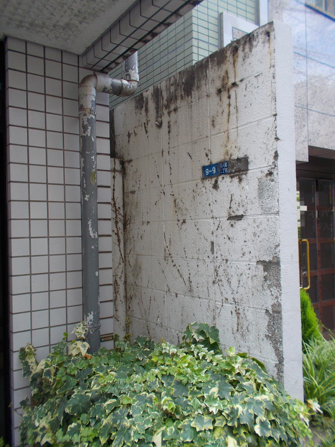 [희소템]니콘 Coolpix 쿨픽스 S30 Pink 빈티지디카  상품이미지8