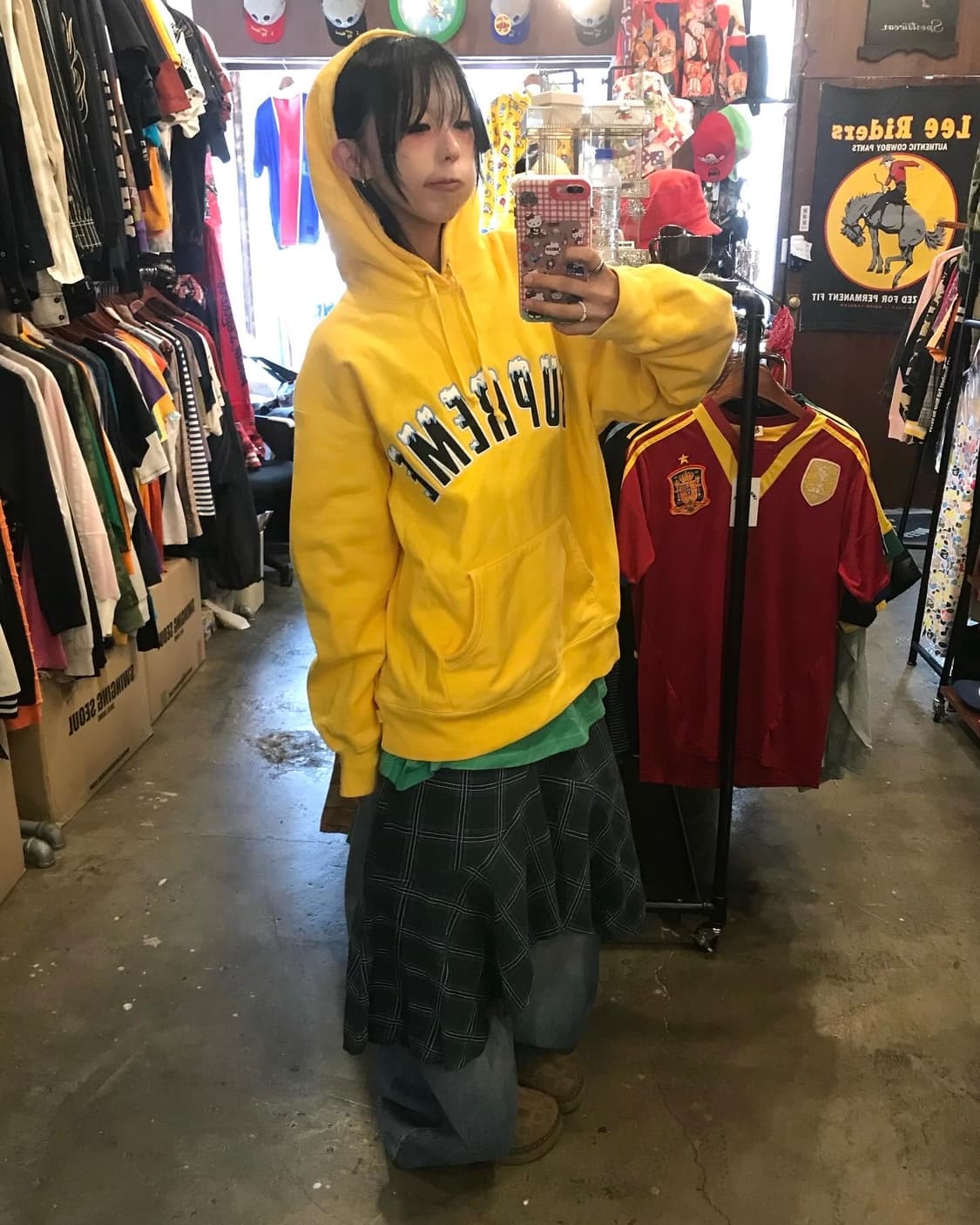 Supreme Icy Arc Hooded Sweatshirts  상품이미지4