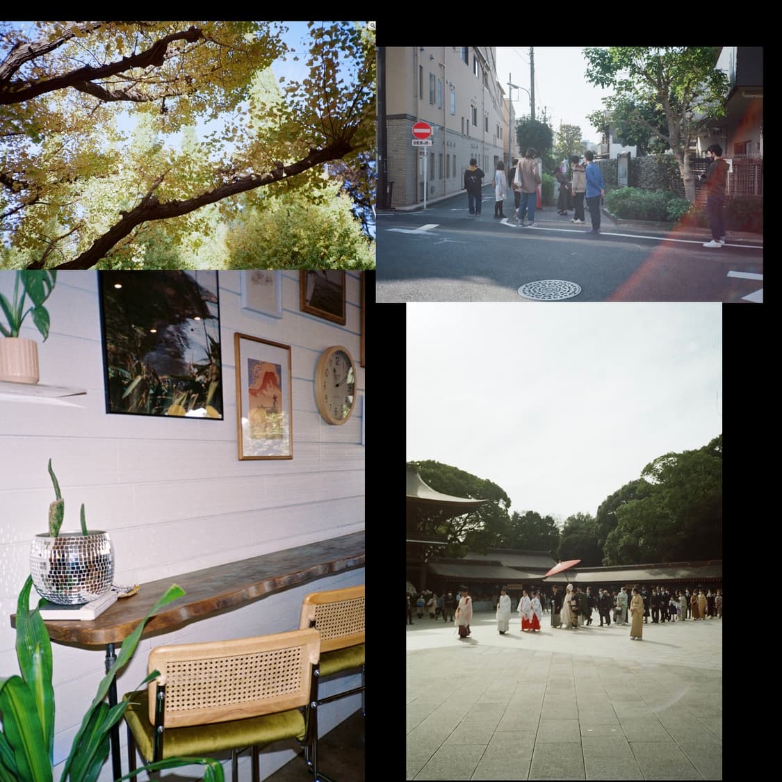 필름카메라 캐논 스내피 올림필버젼(작례 0) 상품이미지2