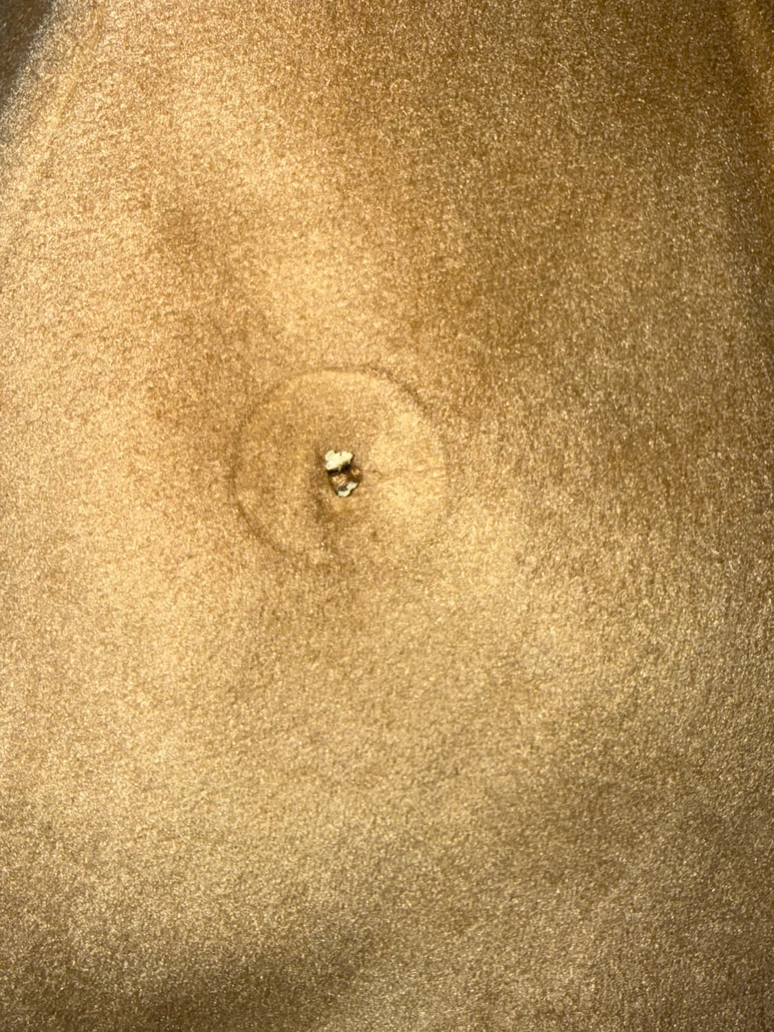 갸루 호피 코트 일본빈티지 y2k 오네갸루 라떼갸루 히메카지 대장템 핀터 상품이미지3