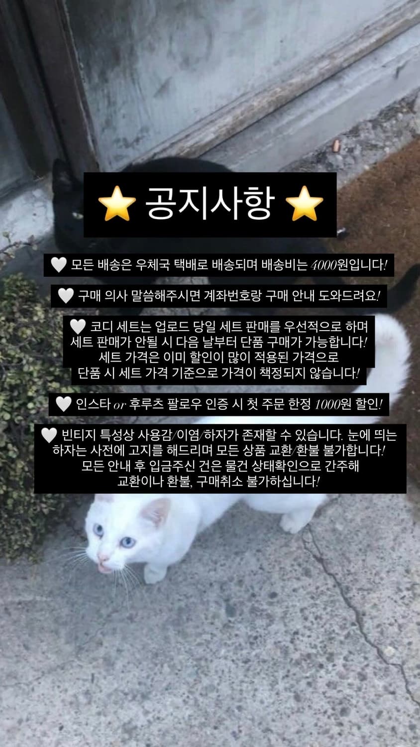 공지사항 상품이미지1