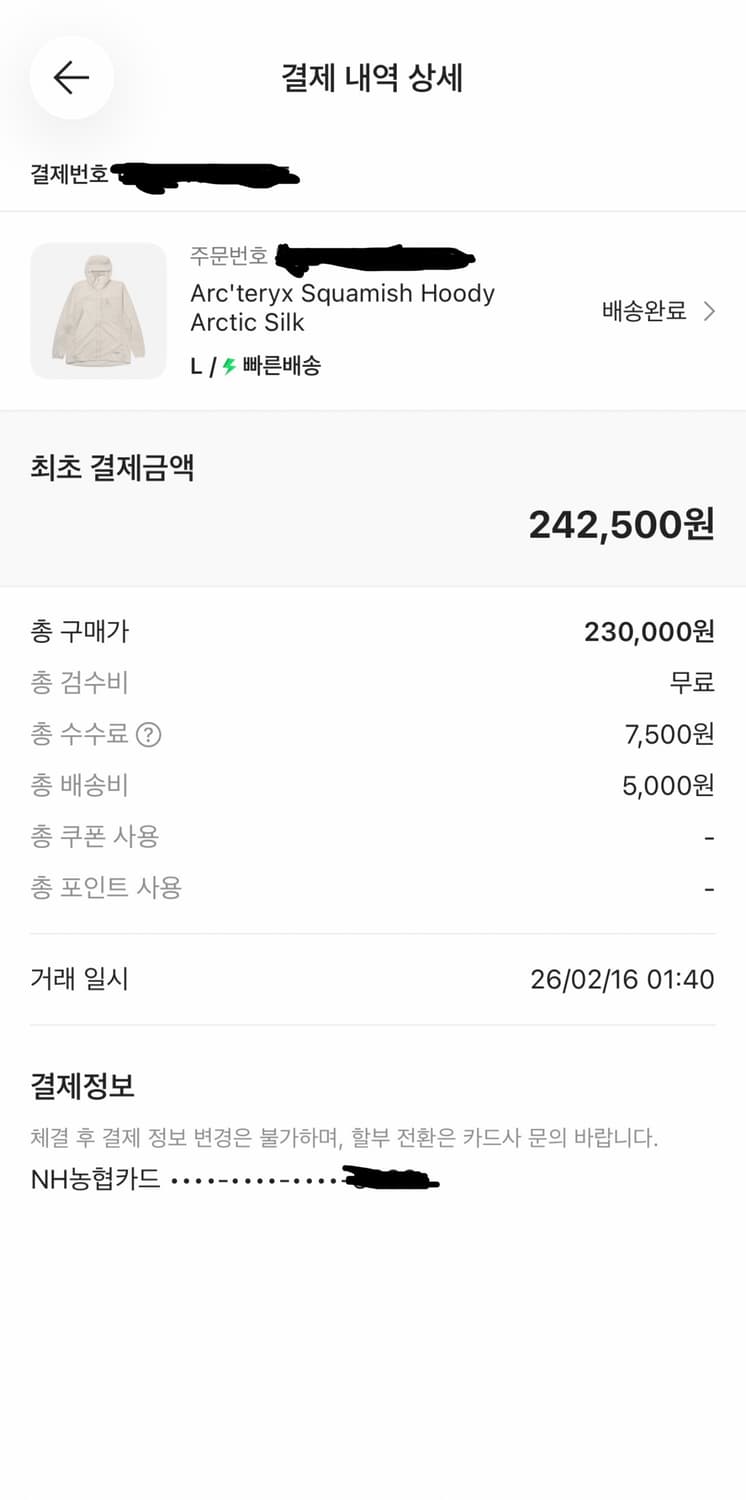 아크테릭스 스쿼미시 아크틱실버 판매합니다. 상품이미지2