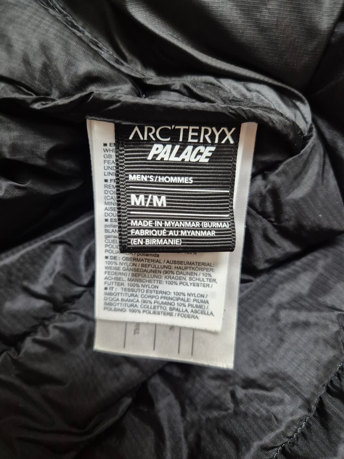 M) 아크테릭스 팔라스 세륨 lt 후디 상품이미지5