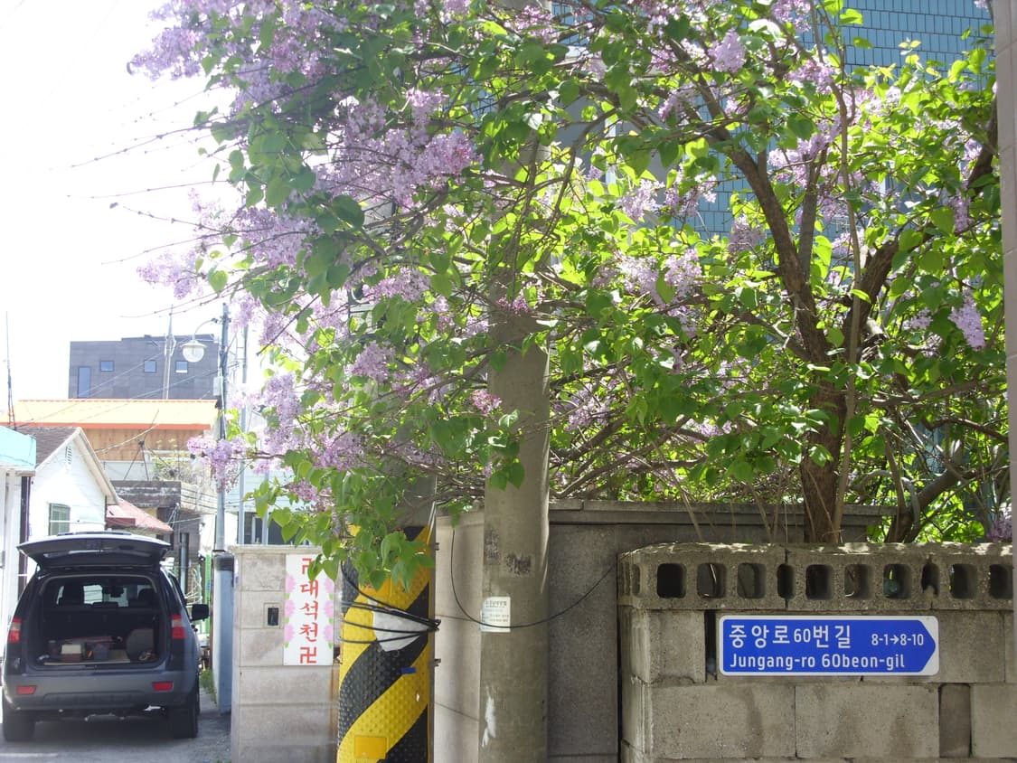 삼성 케녹스 s1060 상품이미지9
