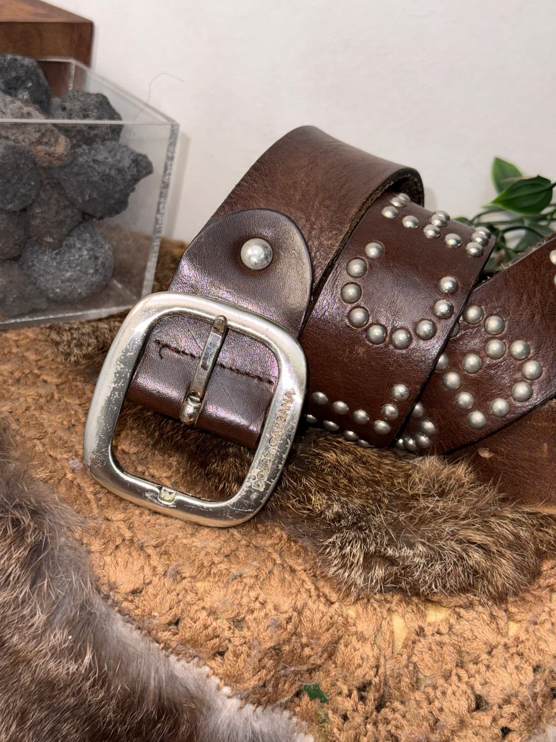 Dolce & Gabbana brown stud logo belt 상품이미지3