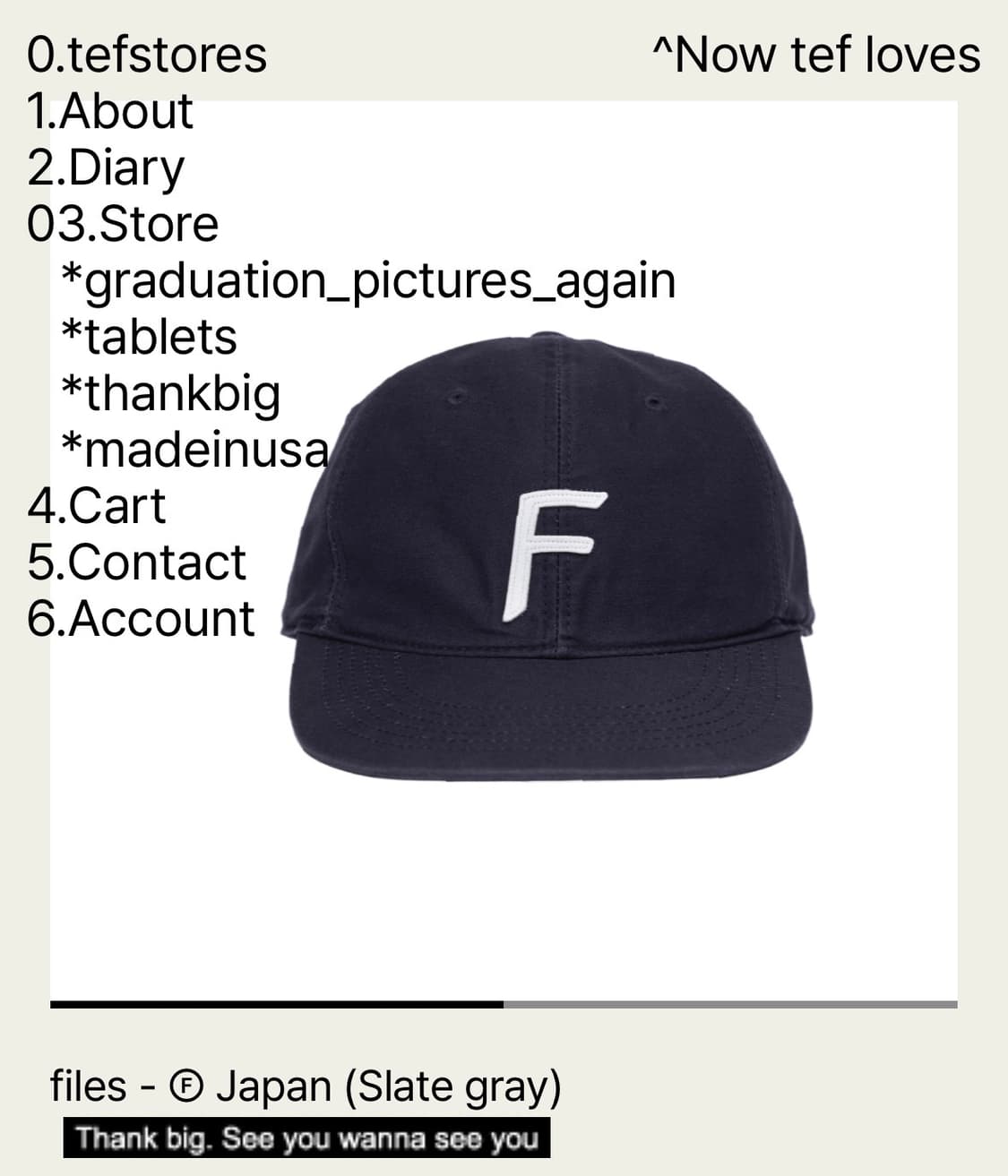 테프스토어즈 볼캡 files - Ⓕ Japan (Slate gray) M 상품이미지1