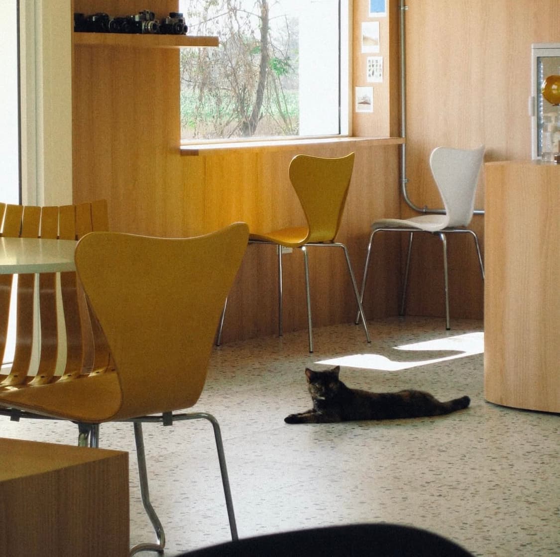 캐논 익시 Canon ixy digital 95 IS IXUS 90 IS 상품이미지5