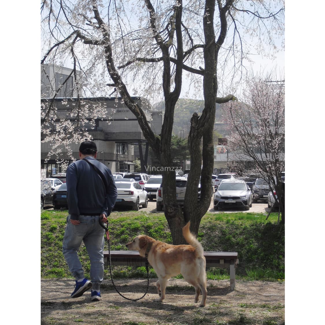 Casio 카시오 엑슬림 exilim EX-S5 디지털 카메라 상품이미지6