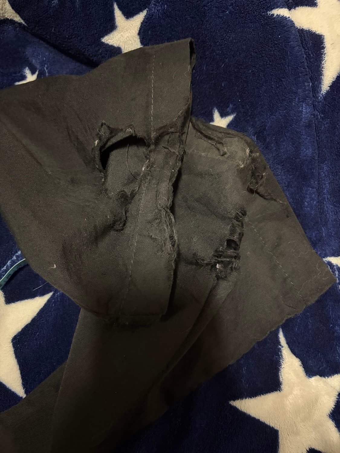 꼼데가르송 옴므 백지퍼 팬츠 상품이미지5