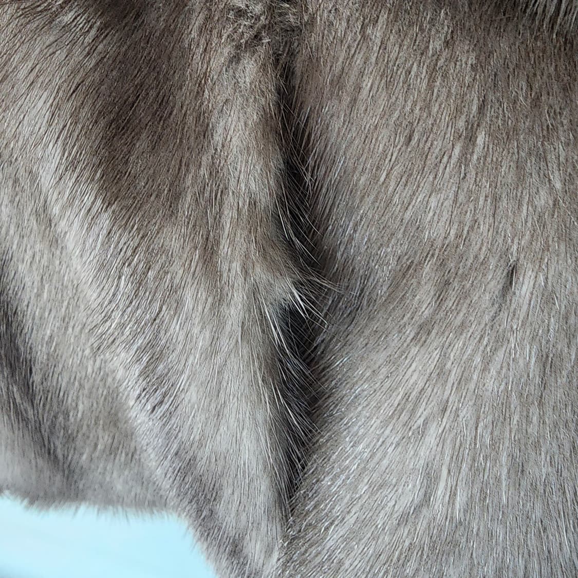 대동 밍크 베스트 조끼 상품이미지8