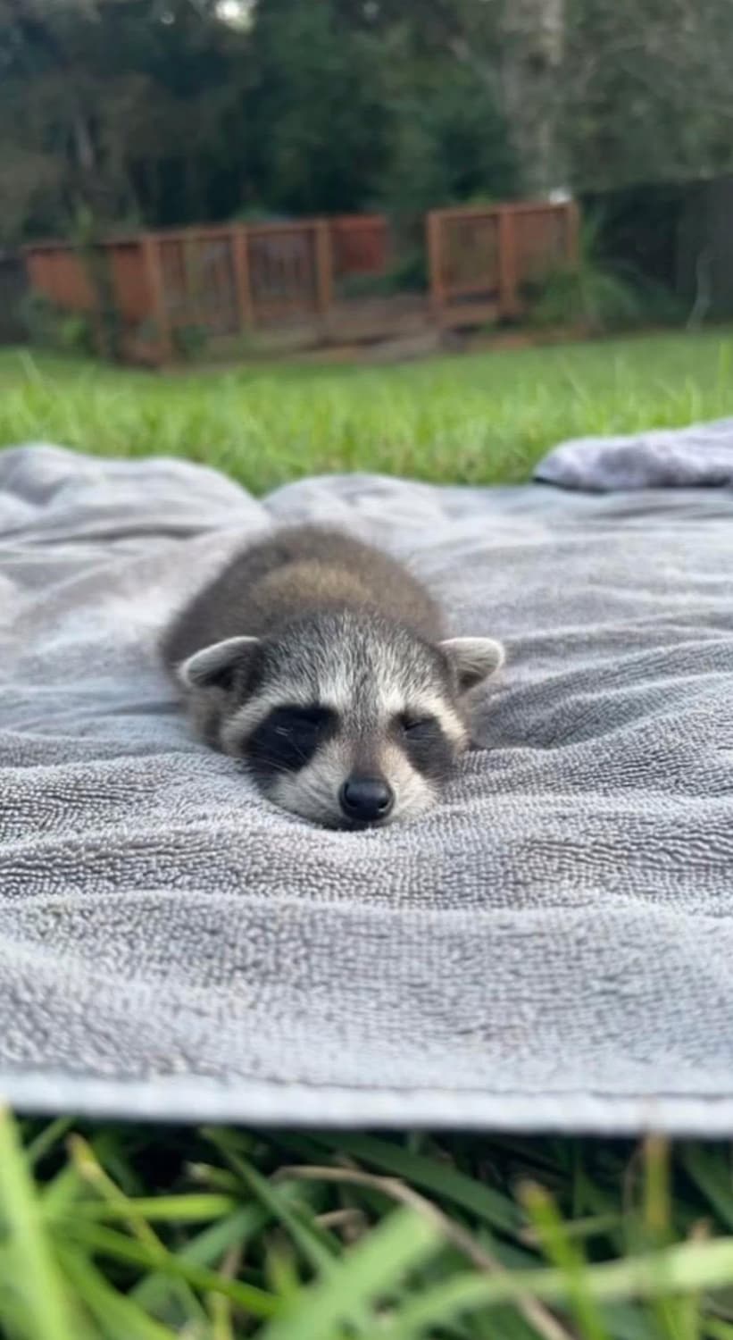 설 맞이 기간 한정 파격 할인 공지 상품이미지1