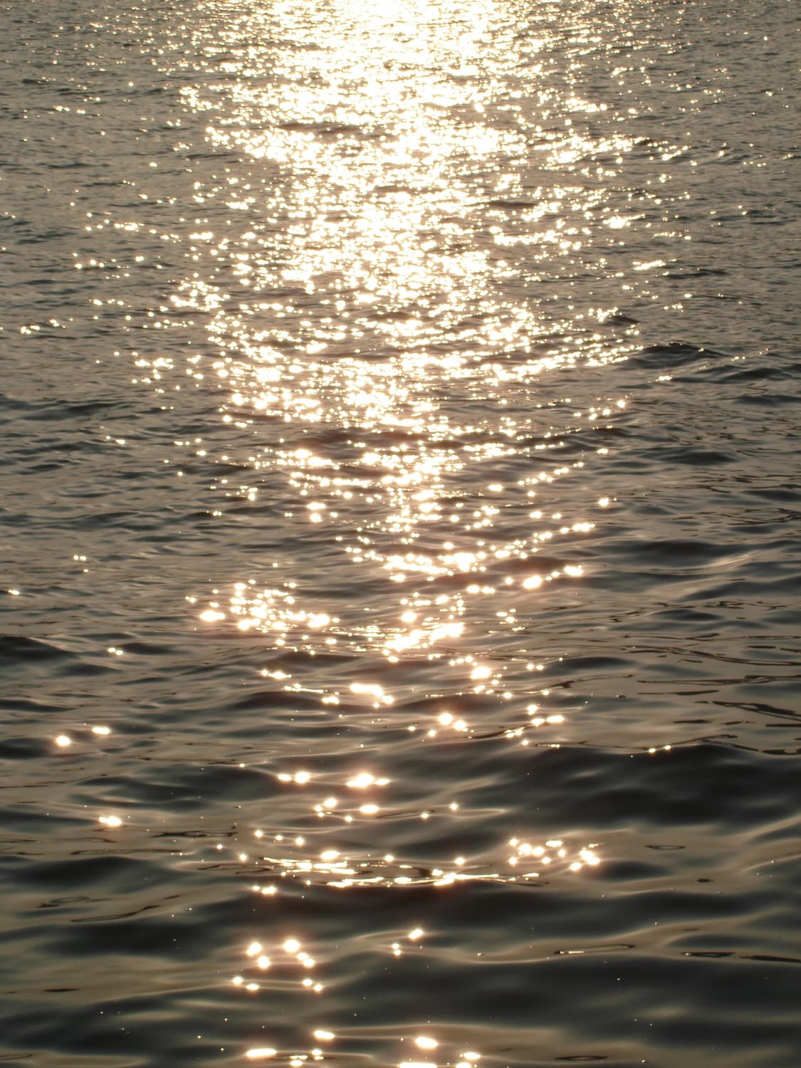 입문&강추!) Sony Cyber-shot HX5 디카 카메라 상품이미지3