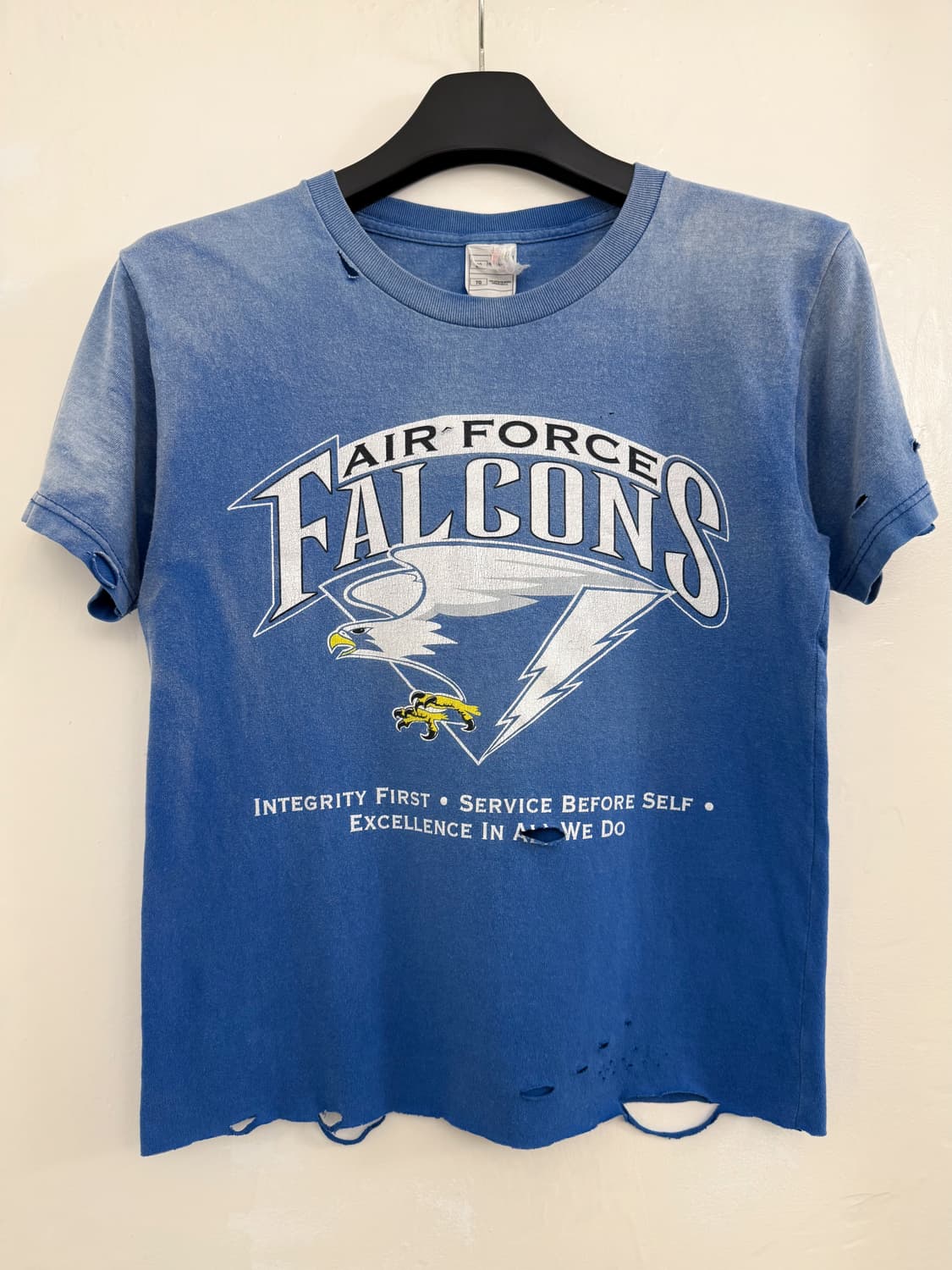 Vintage Air Force Falcons Distressed Tee 상품이미지1