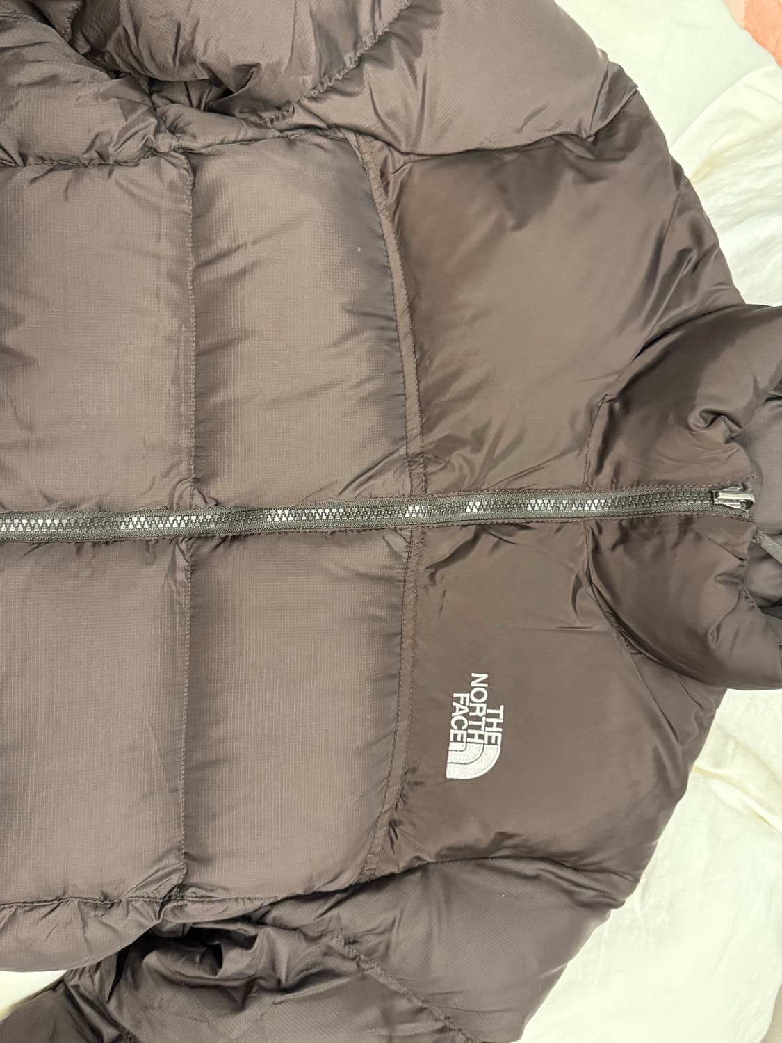 노스페이스 눕시 브라운 켄달제너 패딩 상품이미지2