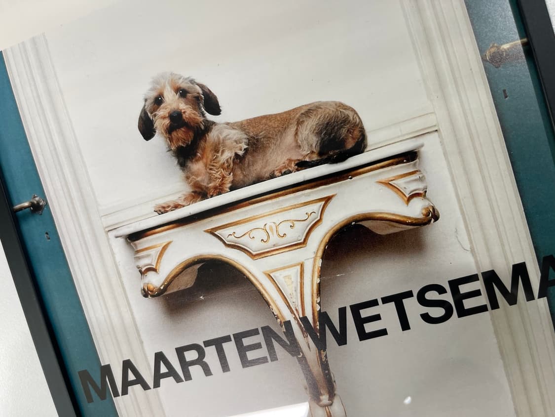 꼼데가르송 COMME des GARCONS 아트 포토 AD2004 상품이미지2