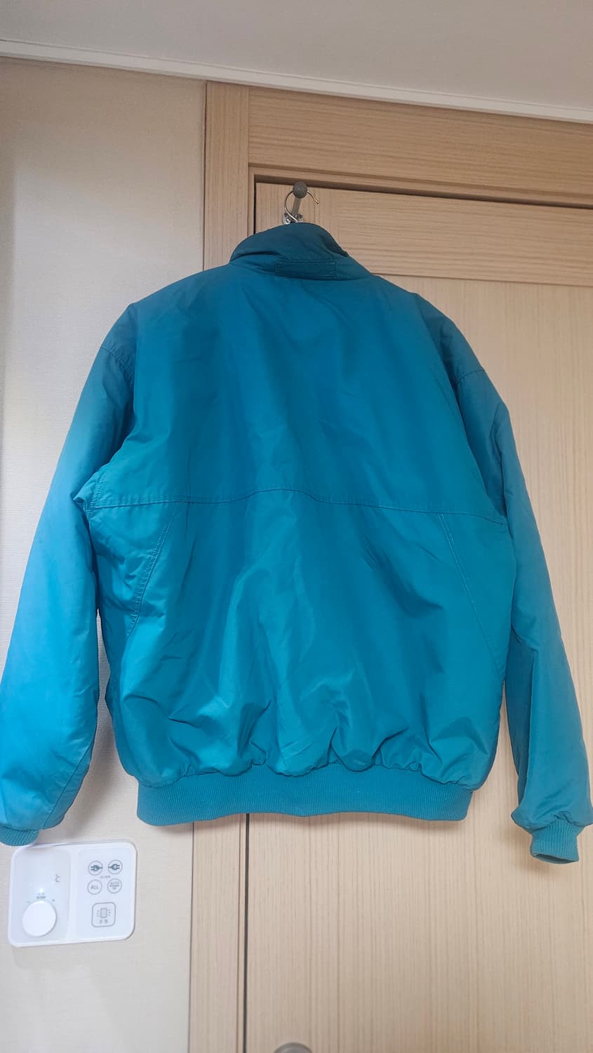 파타고니아 쉘드 신칠라 봄버 자켓 l usa 에메랄드그린 상품이미지2