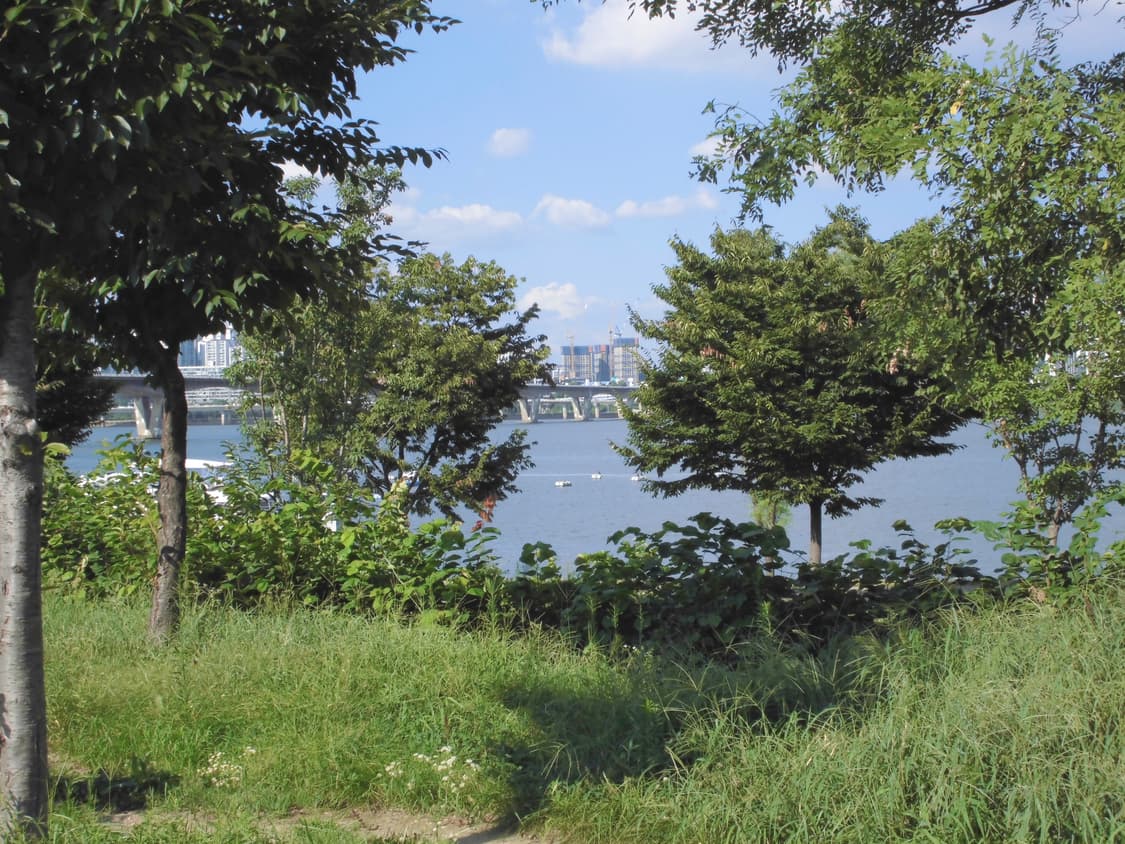 [*희귀!✨/작례⭕️] 카시오 엑슬림 EX-ZS26 빈티지 디카 상품이미지8