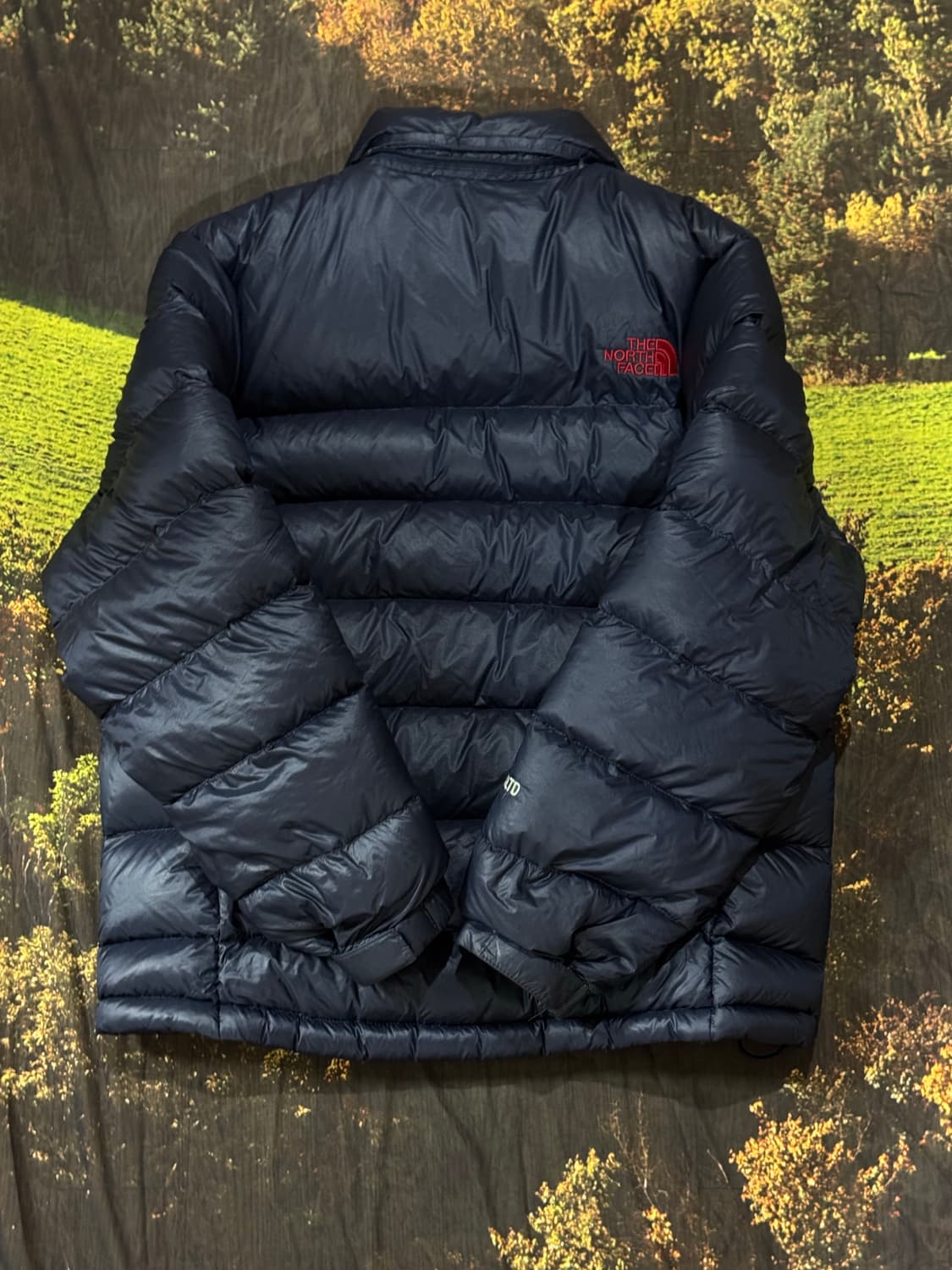 노스페이스 패딩 800LTD 95-100 상품이미지4