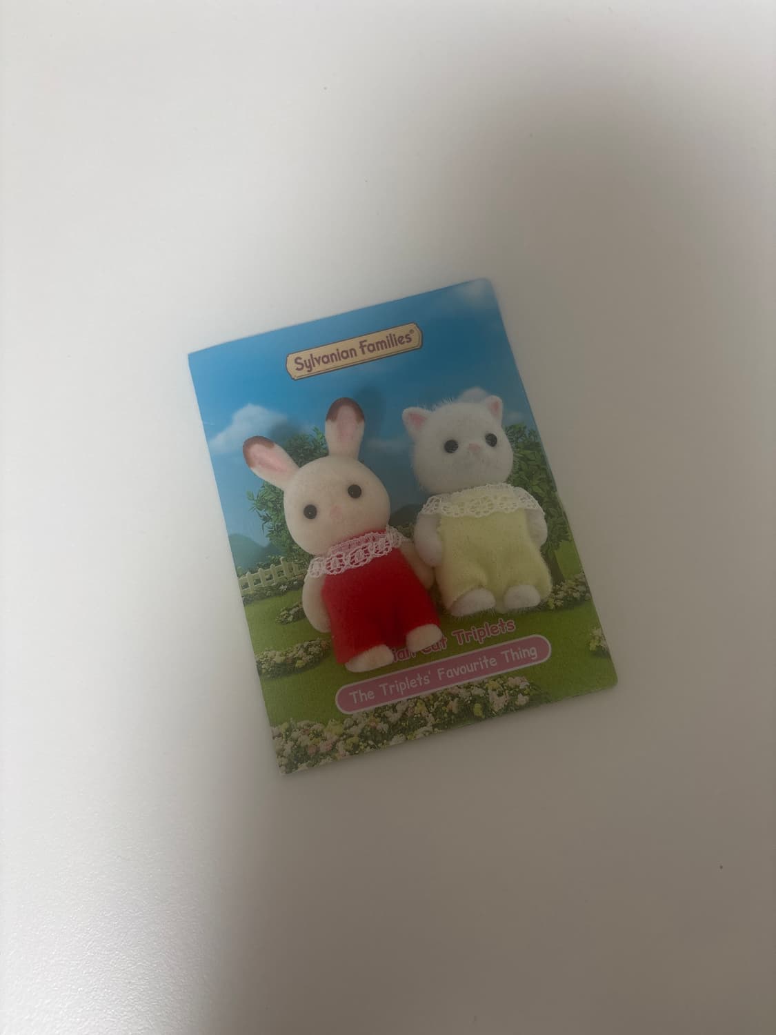 실바니안 초콜릿 토끼, 페르시안 고양이 직립 상품이미지1