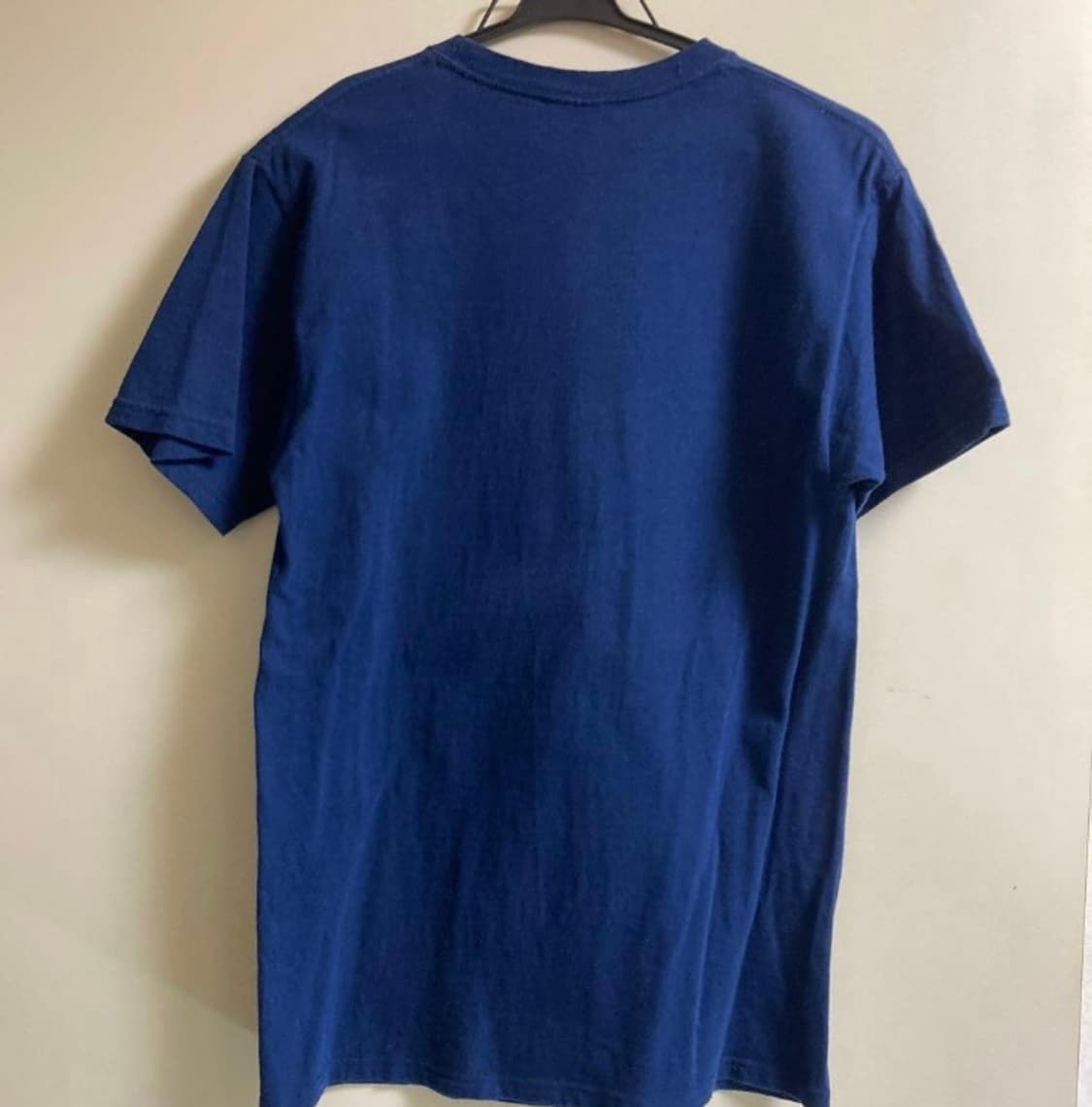 90s~00s Dinosaur Jr Hanes Heavyweight 빈티 상품이미지4