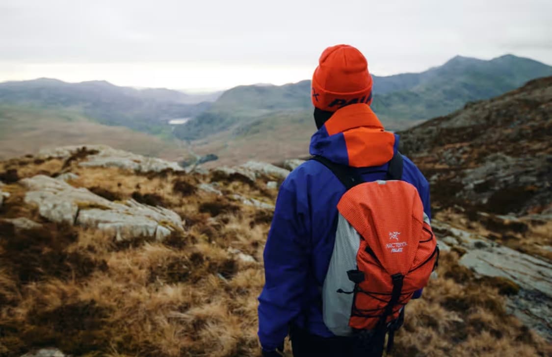 팔라스 x 아크테릭스 알파 SV자켓 상품이미지3