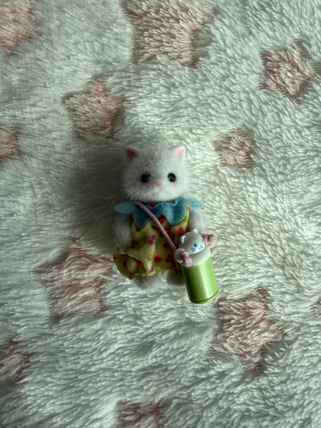 실바니안 고양이 상품이미지1