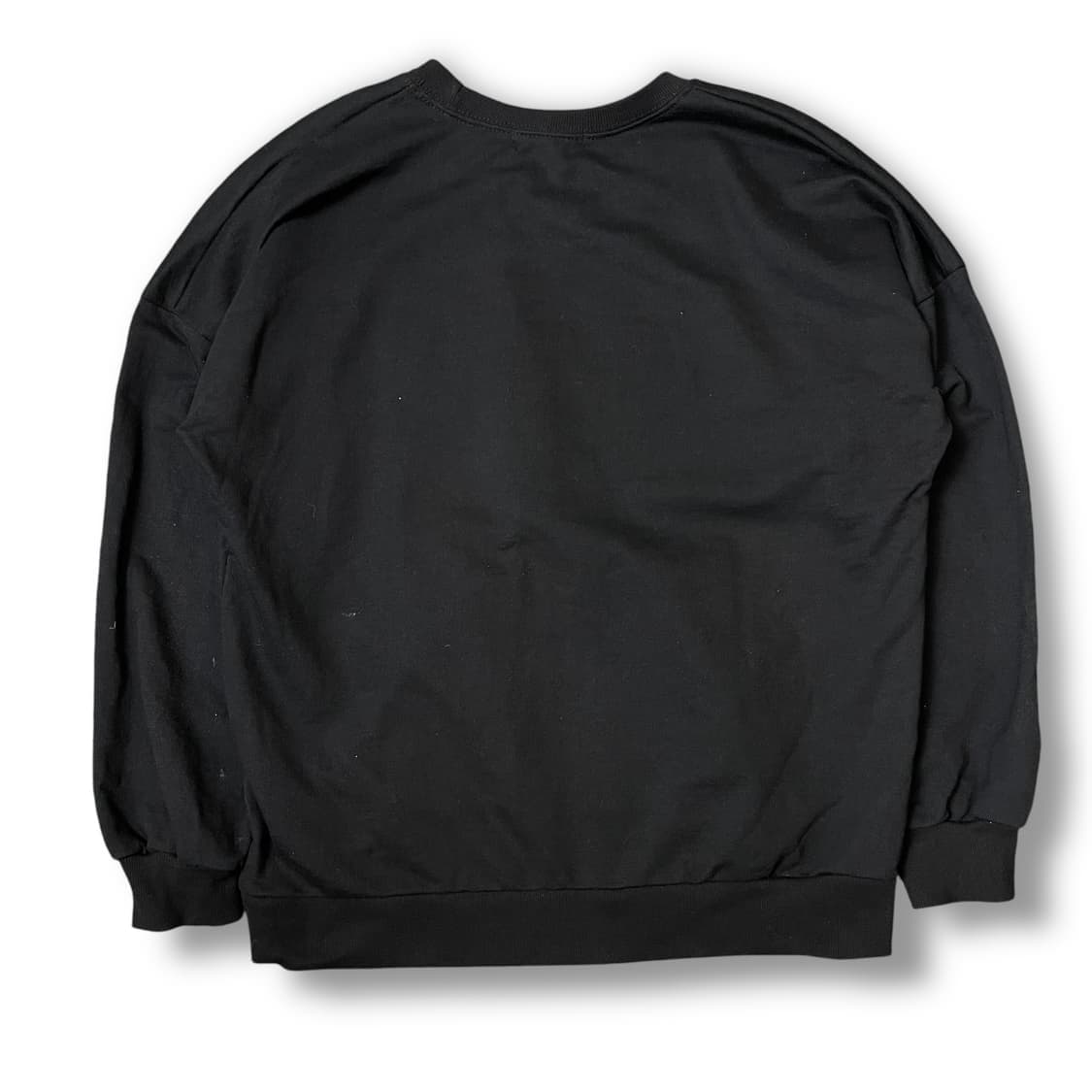 플라스틱 아일랜드 블랙 맨투맨 스웻셔츠 상품이미지2