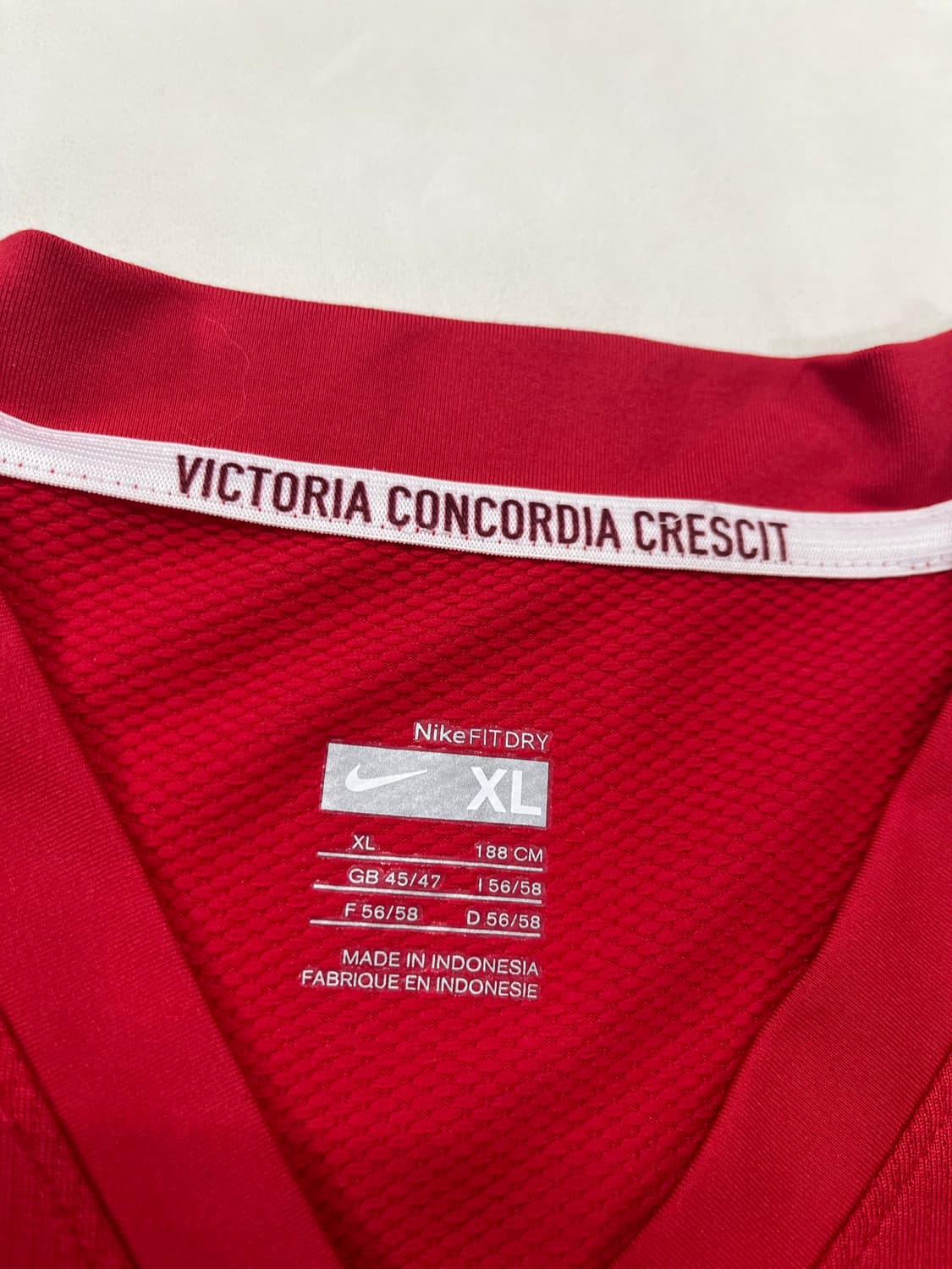 나이키 08-10 아스날 FC 홈 세스크 파브레가스 상품이미지6