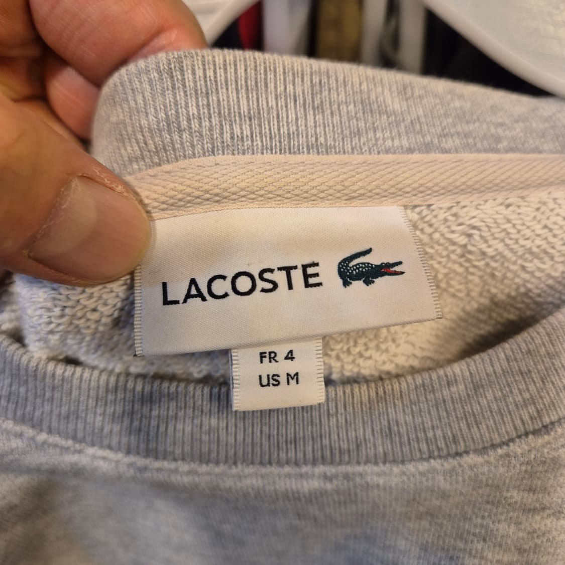 M 라코스테 배색 그레이 맨투맨  상품이미지3