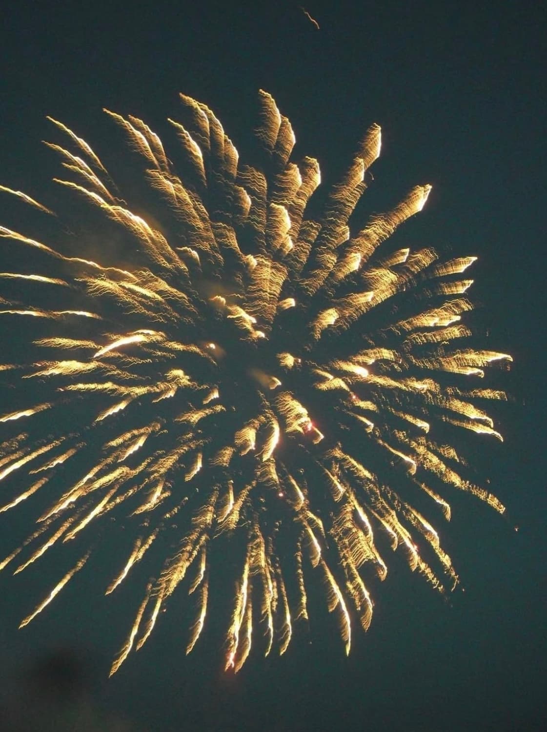 삼성 블루 es75 디지털카메라 상품이미지10