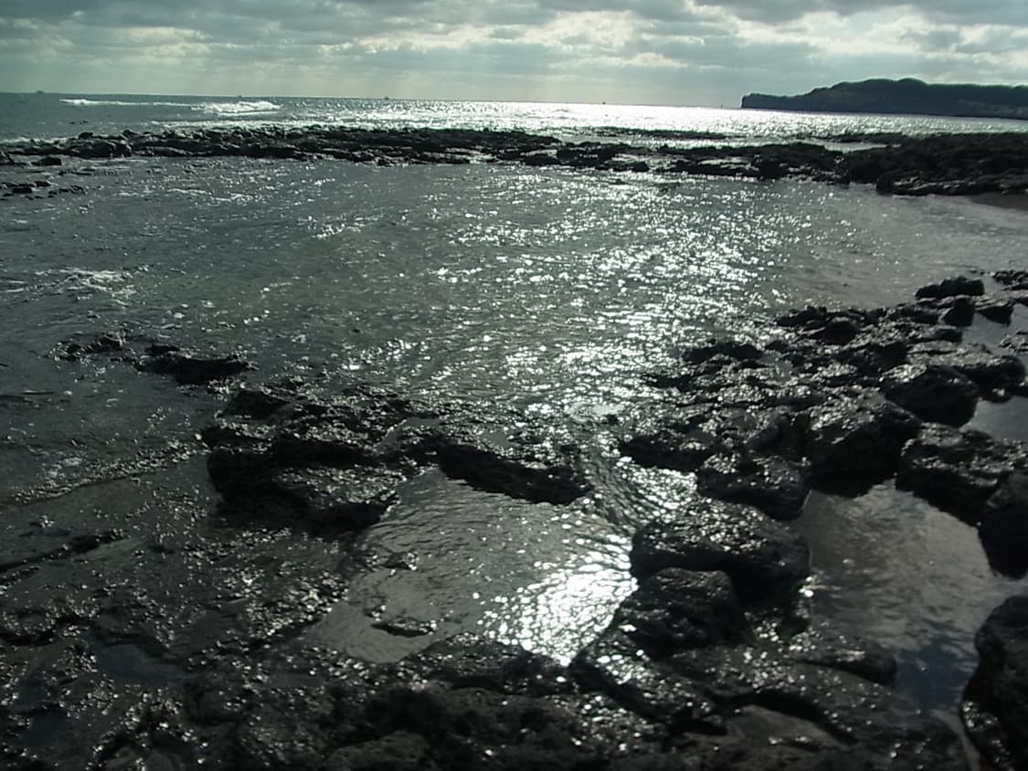 Ricoh cx4 상품이미지3