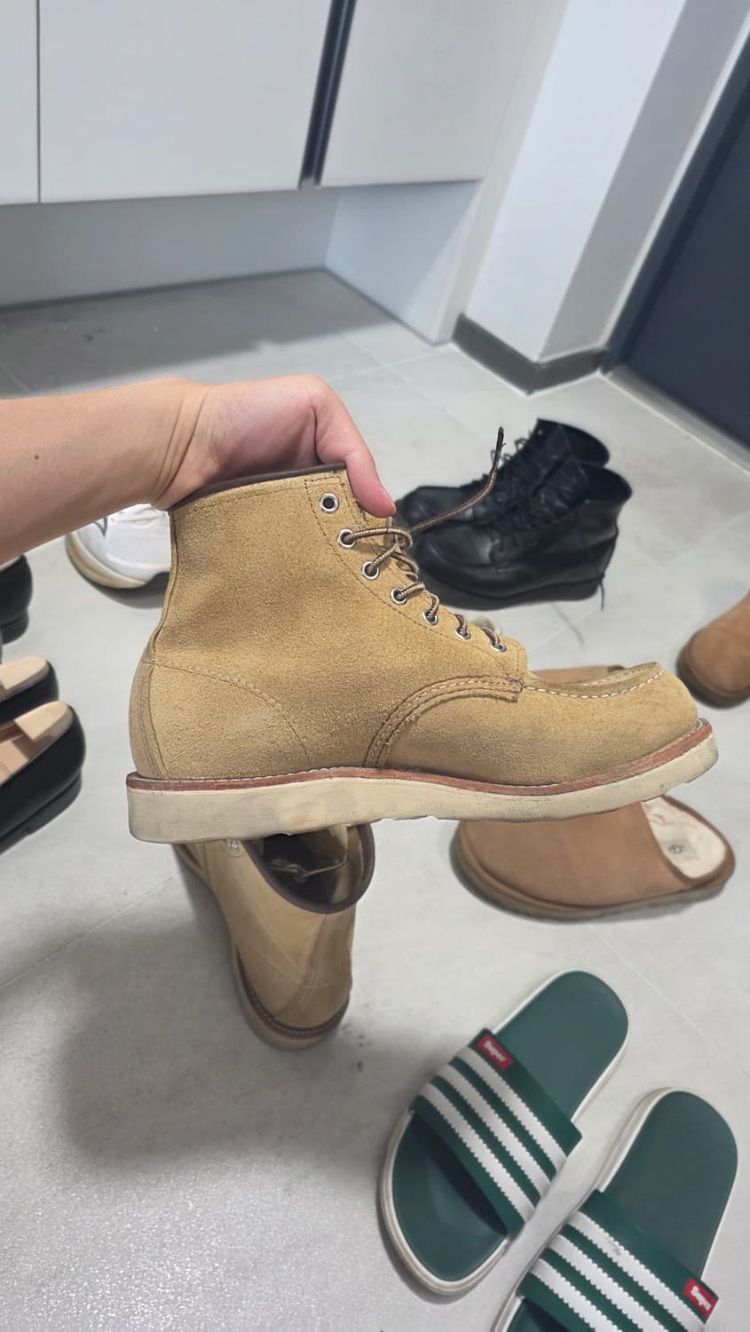 9D 사이즈 레드윙 8833 판매합니다
 상품이미지4