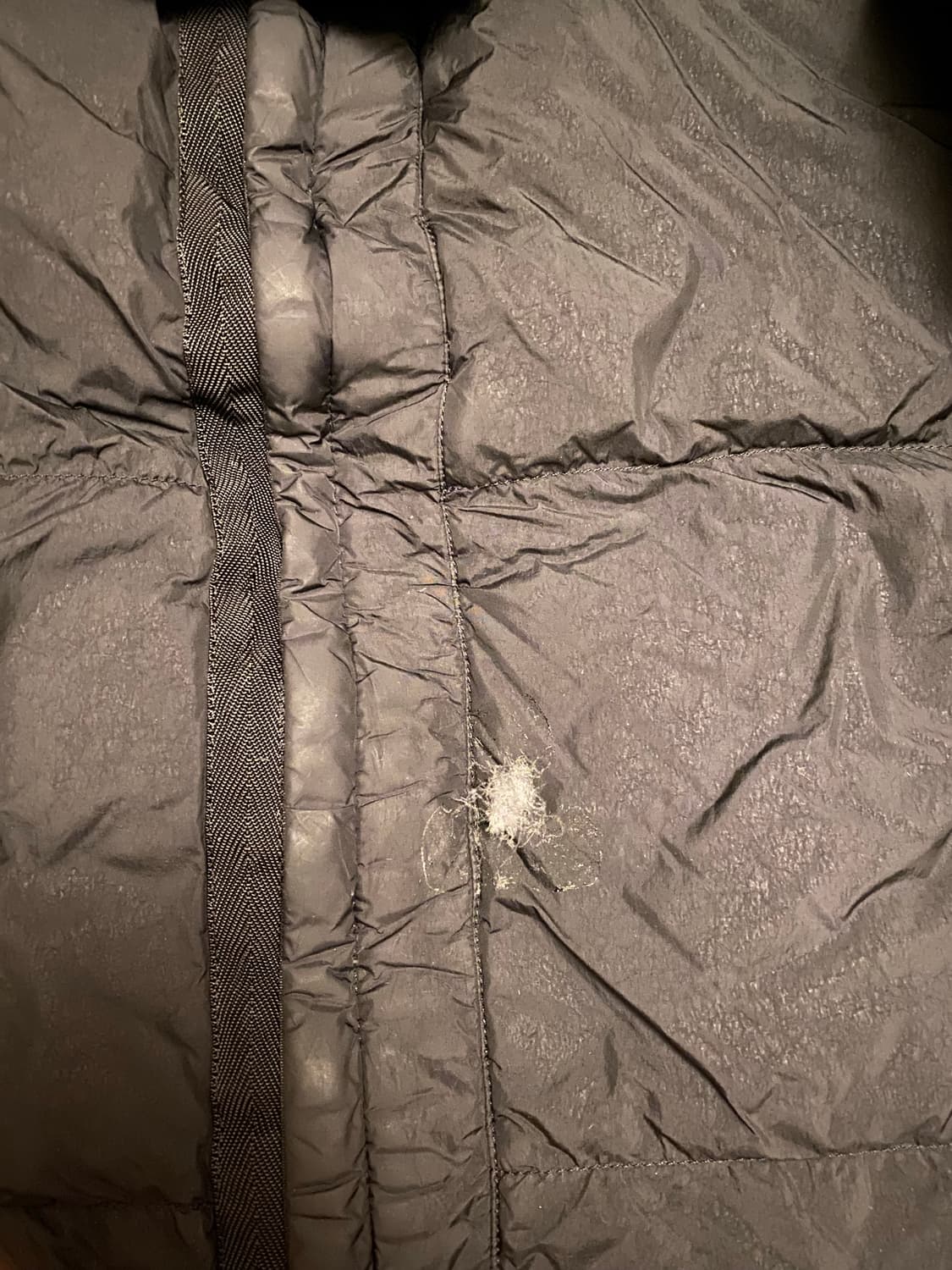 Stone Island/17FW 스톤아일랜드 가먼트다이드 크링클랩스 패딩 상품이미지8