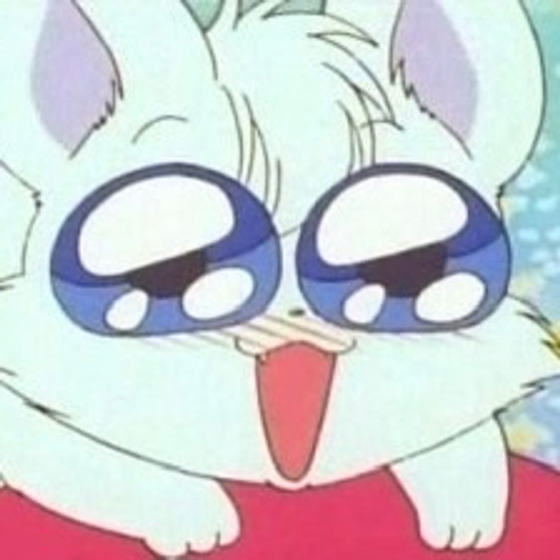 개인결제창 상품이미지1