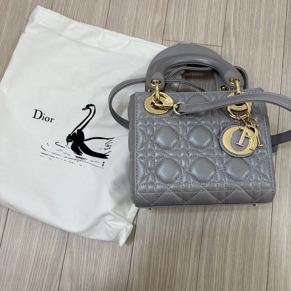 디올 미니백 상품이미지2