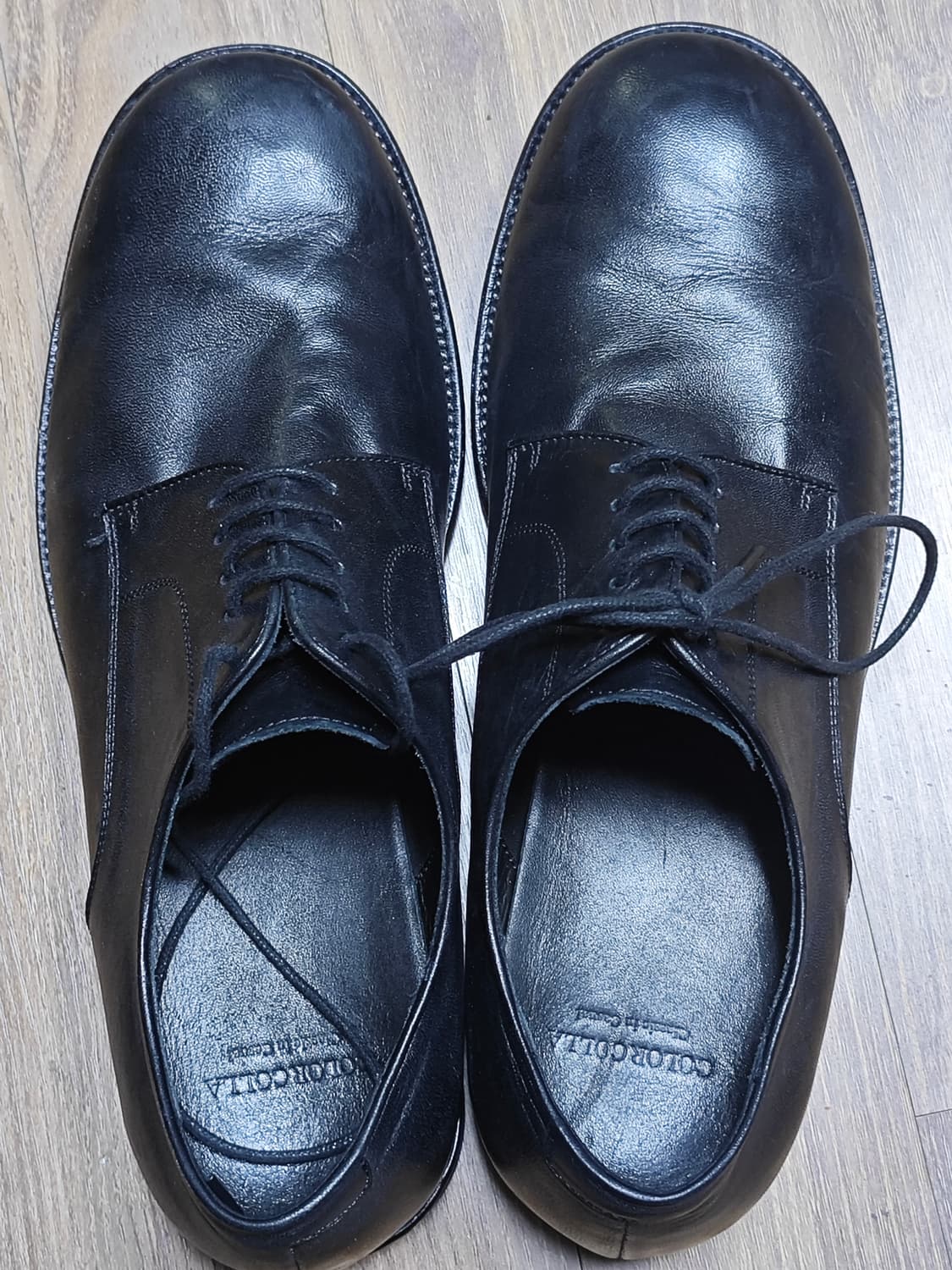 컬러콜라 10007 BK HORSE DREBY 280 상품이미지4