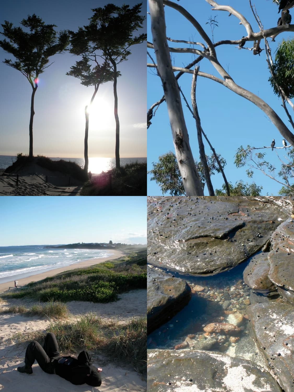 초희귀/작례🫧𖠳ᐝ 리코 RICOH CAPLIO R50 상품이미지2