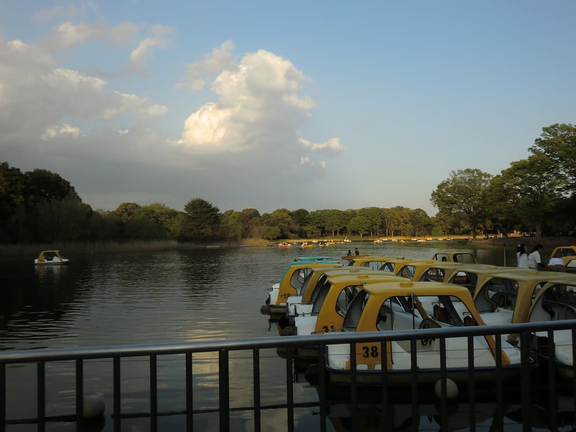 카시오 엑슬림 z2000 상품이미지8