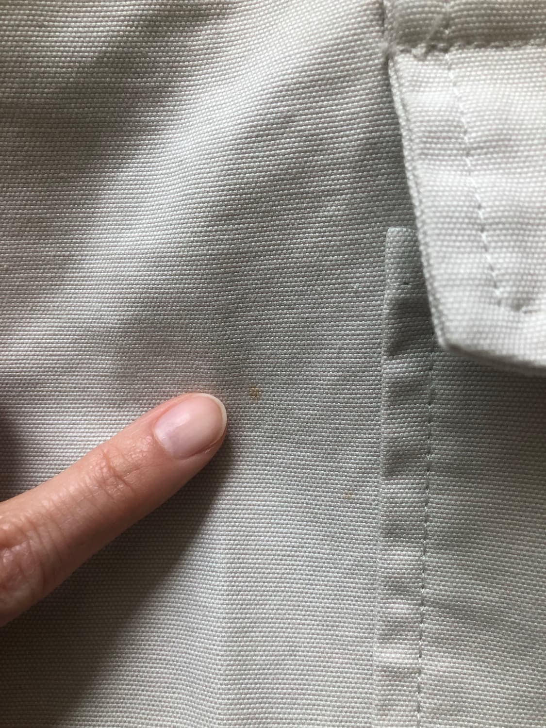 Acne studio cargo pants (46) 상품이미지5